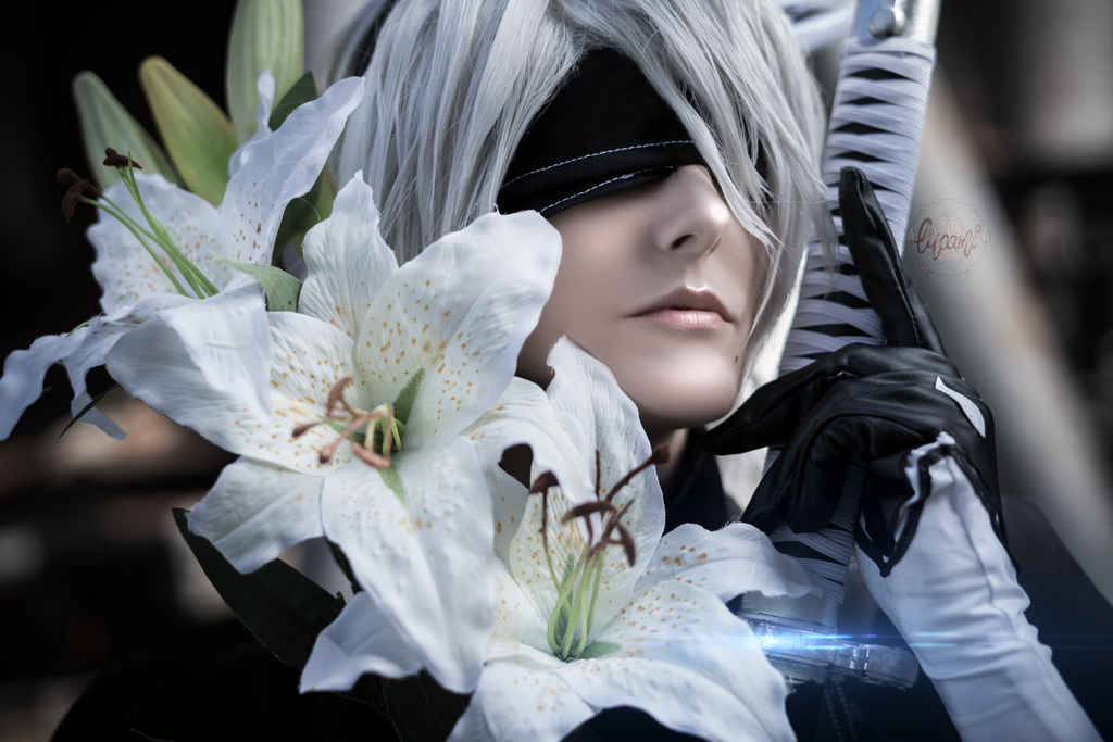 Onji.san – 2B – Nier Automata